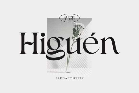 Understanding Higuen: A Serif Font for Modern Luxury